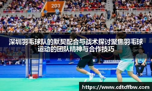 深圳羽毛球队的默契配合与战术探讨聚焦羽毛球运动的团队精神与合作技巧